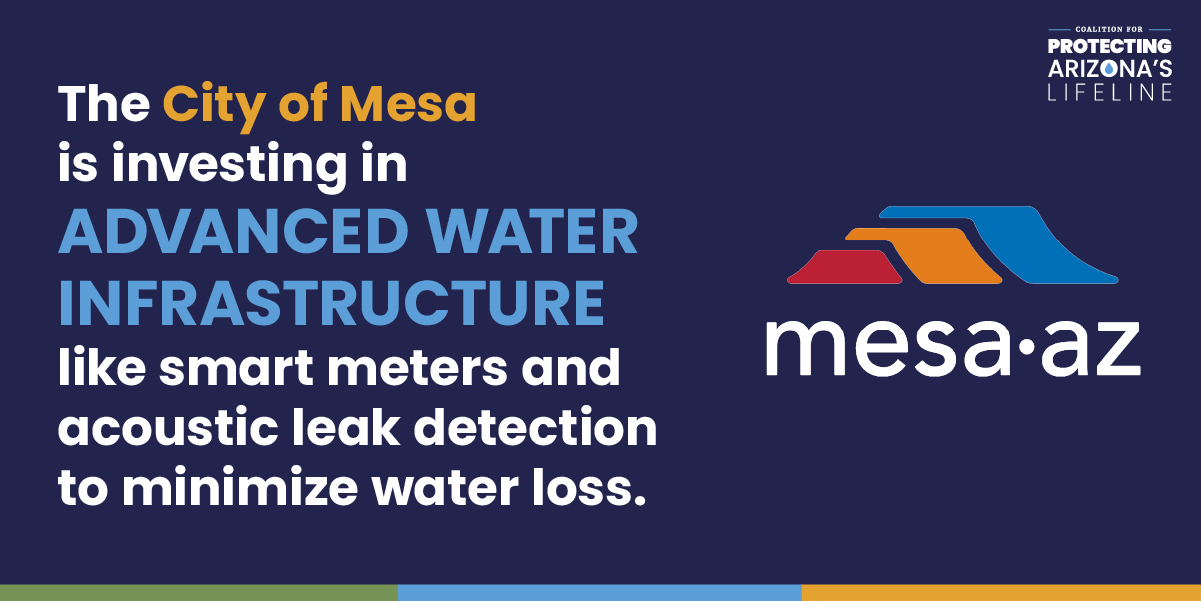 CAP Conservation Infographic of Mesa